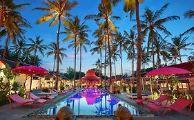 Pinkcoco Gili Air - Constant Surprises & For Cool Adults Only